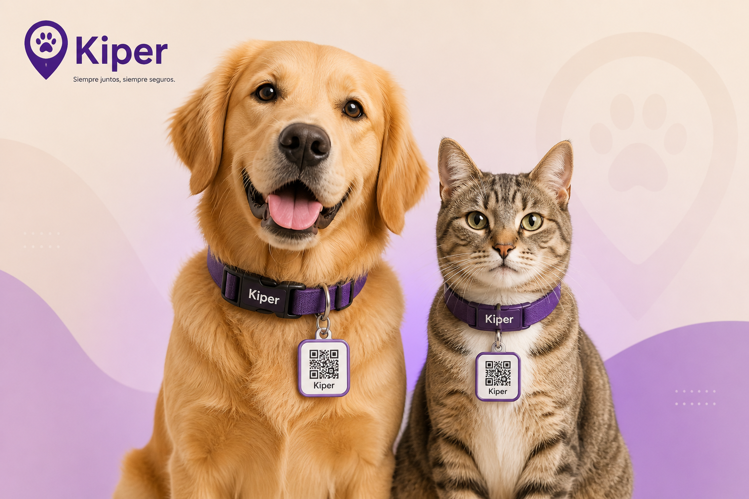 Mascota con collar QR Kiper